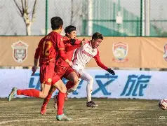 半岛体育全站-阿森纳小组出线稳如狗